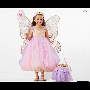 Pottery Barn Butterfly Fairy Halloween Costume 3T